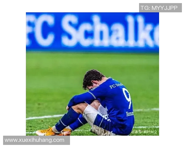 沙尔克04陷入困境,德甲六轮不胜令球迷担忧 沙尔克04陷入困境,德甲六轮不胜令球迷担忧